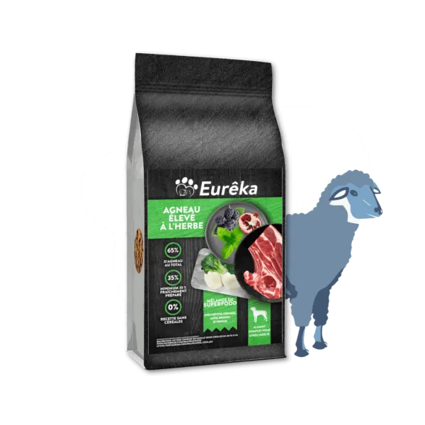 Croquettes chien adulte holistic sans céréales - Agneau élevé à l'herbe - 2 Kg