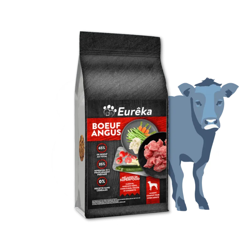 Croquettes chien adulte holistic sans céréales - Bœuf Angus - 12 Kg