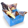 Box de Friandises pour Chiens - L'Indestructible