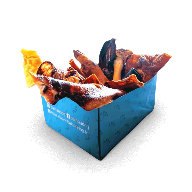 Box de Friandises pour Chiens - L'Indestructible