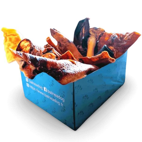 Box de Friandises pour Chiens - L'Indestructible