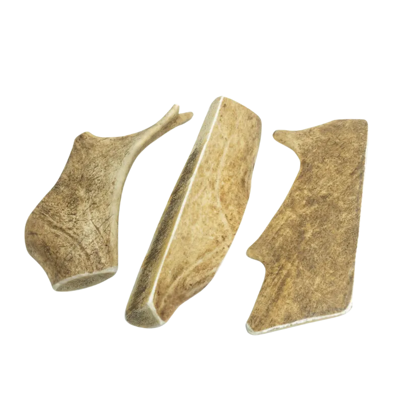 Bois de Daim pour Chien