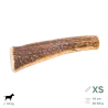Bois de Cerf pour Chien