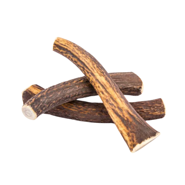 Bois de Cerf pour Chien