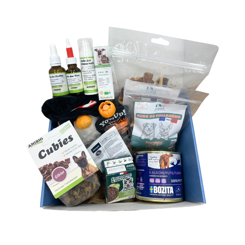 Box Découverte Premium pour Chien