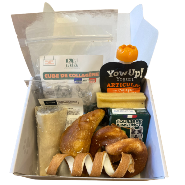 Box Gourmande pour Chien