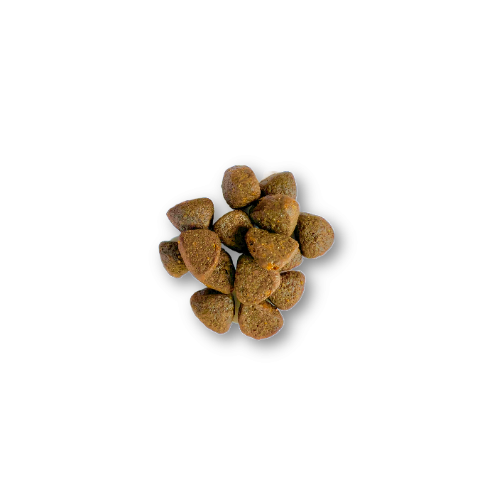 Croquettes Chiot Sans Céréales - Dinde Plein Air 12 Kg