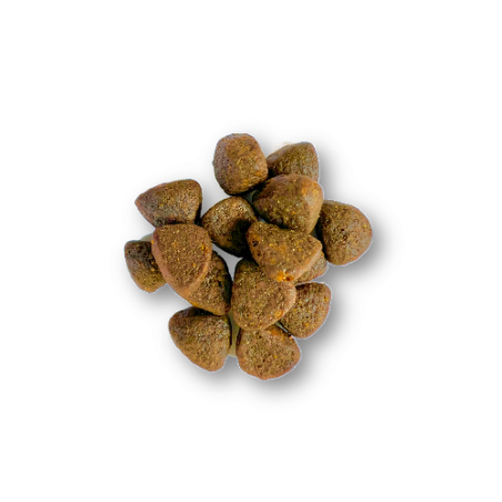 Croquettes chiot holistic sans céréales - Saumon d'Ecosse - 12 Kg