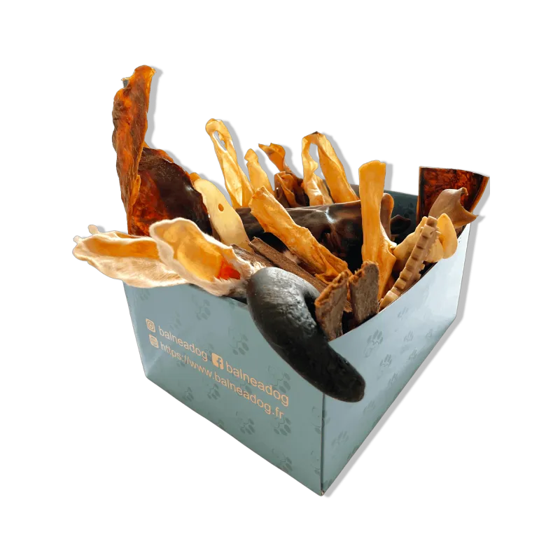 Box de Friandises pour Chiens - Hypoallergénique