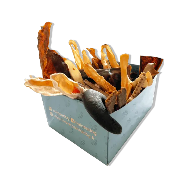 Box de Friandises pour Chiens - Hypoallergénique