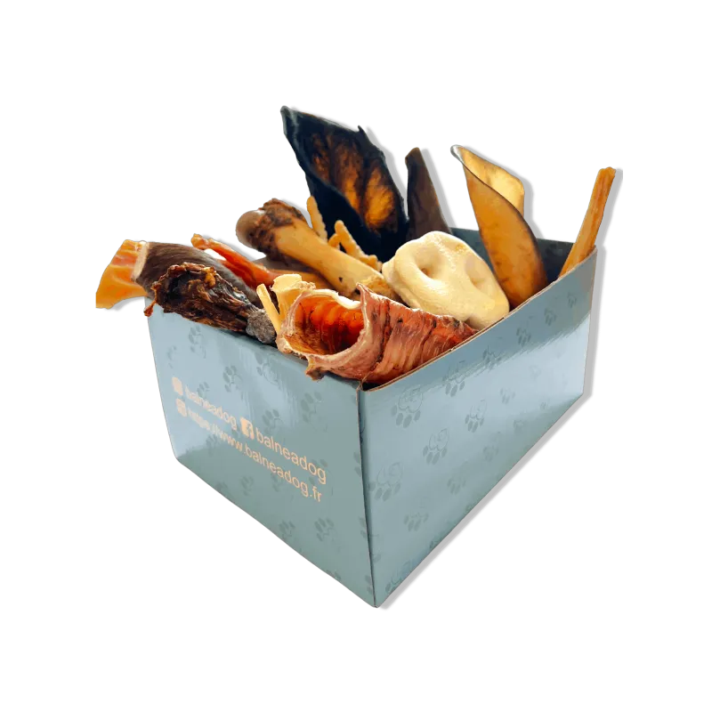 Box de Friandises pour Chiens - Moyens et Grands
