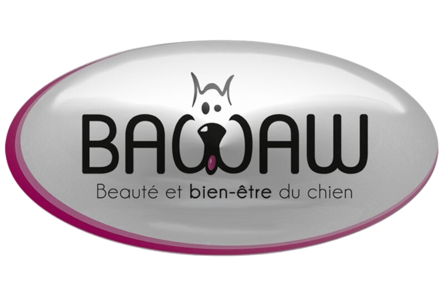 Logo BAWAW