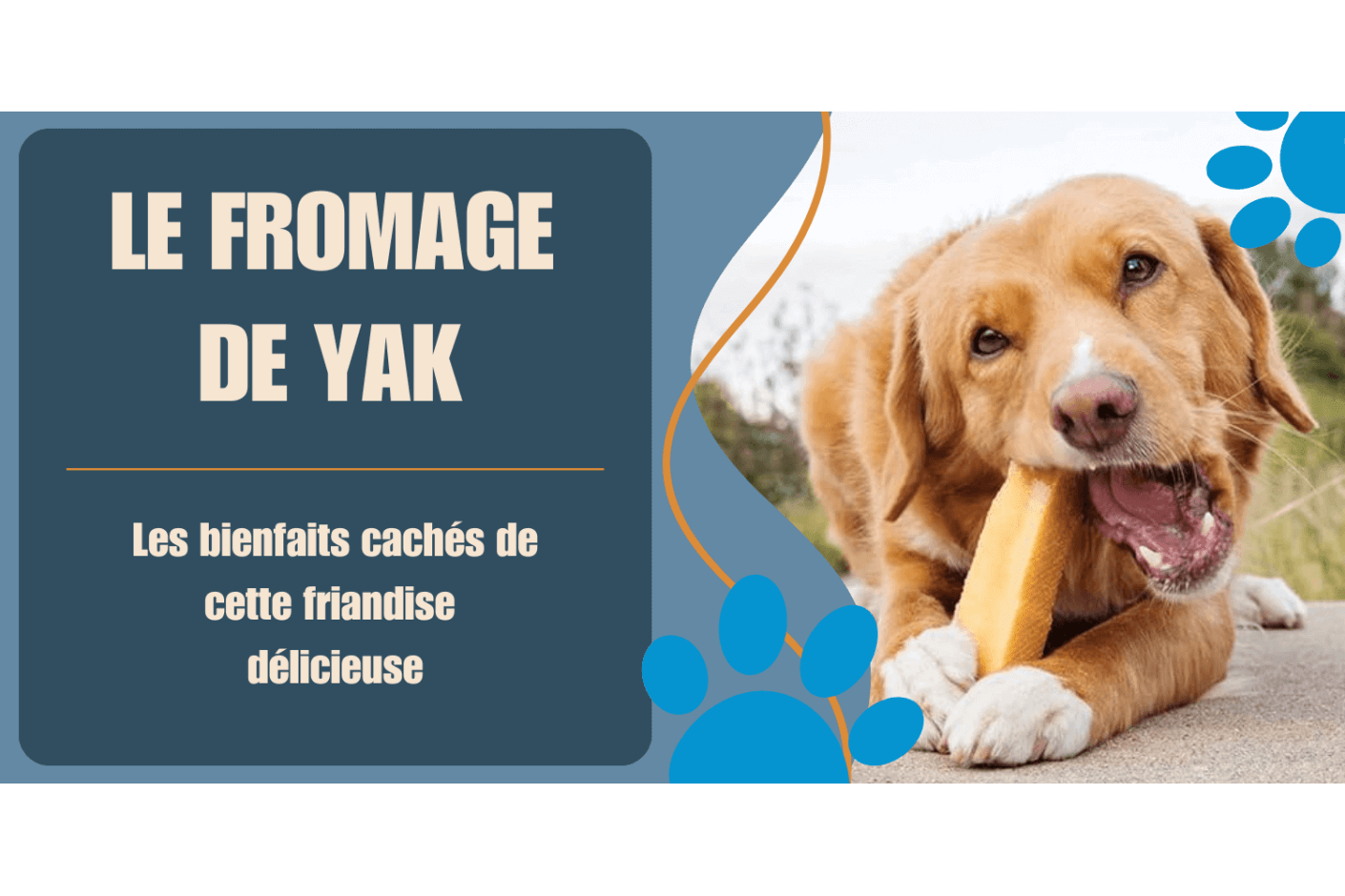 Le fromage de Yak